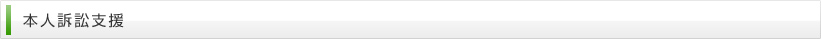 本人訴訟支援